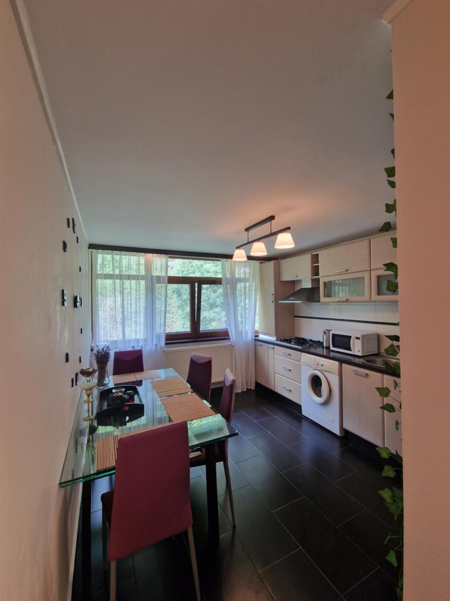 Apartament Red & Yellow Сленік-Молдова Екстер'єр фото